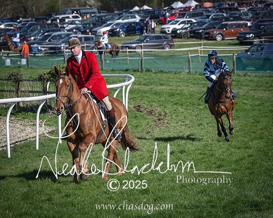 Race 6 - Veteran horse (19 of 109)