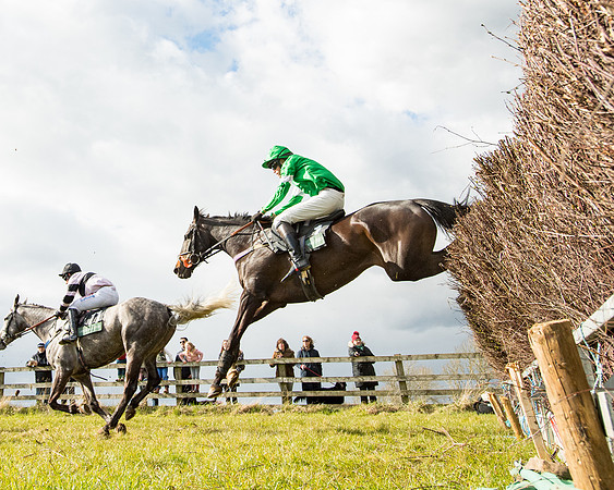 Race 5 - Restricted  (47 of 118)