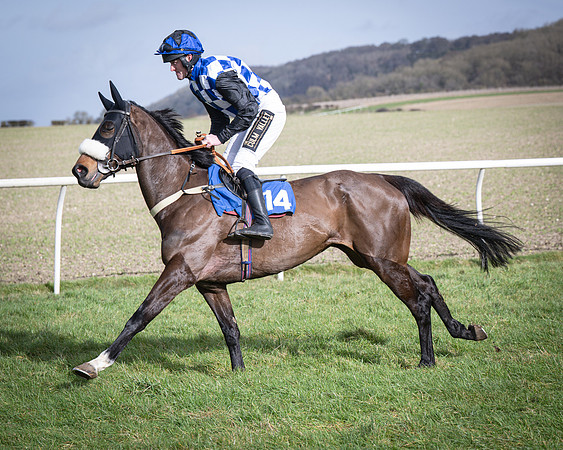 Race 3 - The Maiden Conditions (61 of 214)