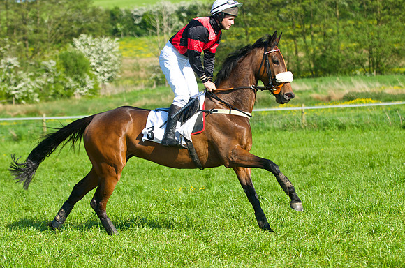 GR6_9644