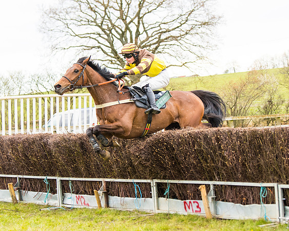 Race 6 - 6 year old and over Maiden 2m4f (36 of 62)