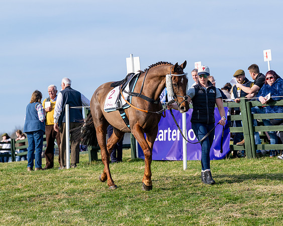 Race 5 - PPORA Five years and over (8 of 163)