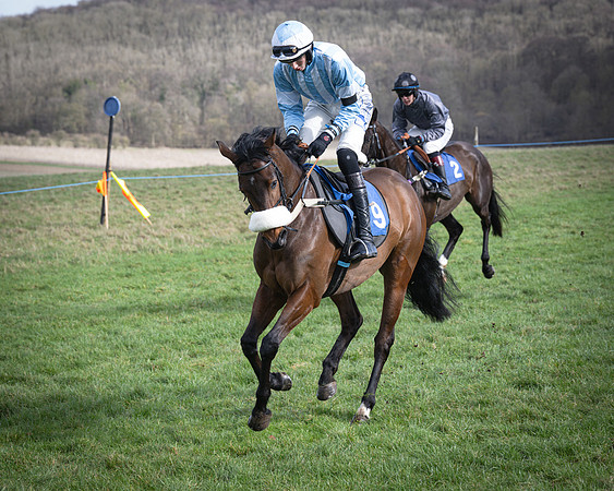 Race 1 - Four and Five year Old Maiden (55 of 137)