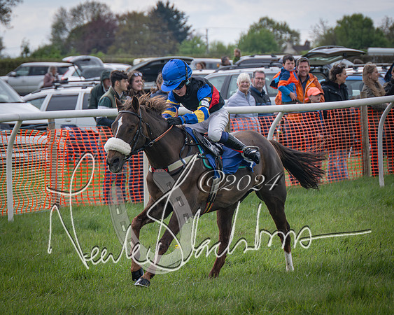 Pony Race 1 (33 of 61)-