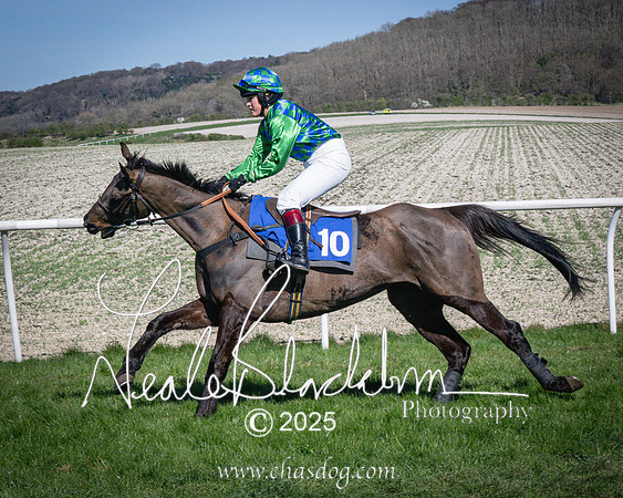 Race 5 - The restricted (25 of 113)