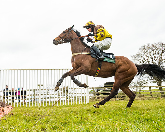 Race 6 - 6 year old and over Maiden 2m4f (28 of 62)