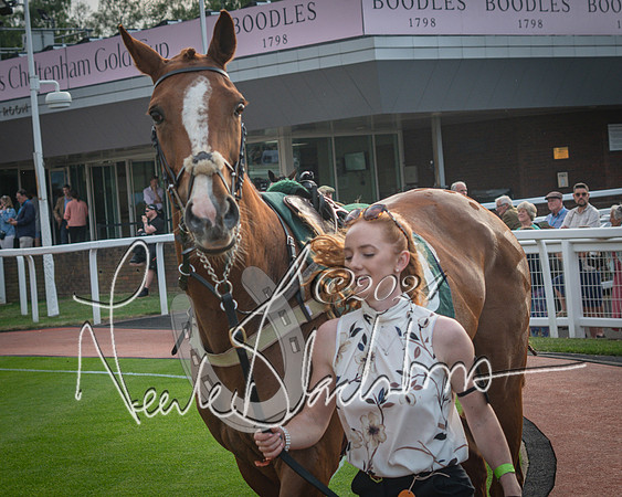 Race 5 - Mares Open Hunter Steeplechase 3m2f 70y (20 of 269)
