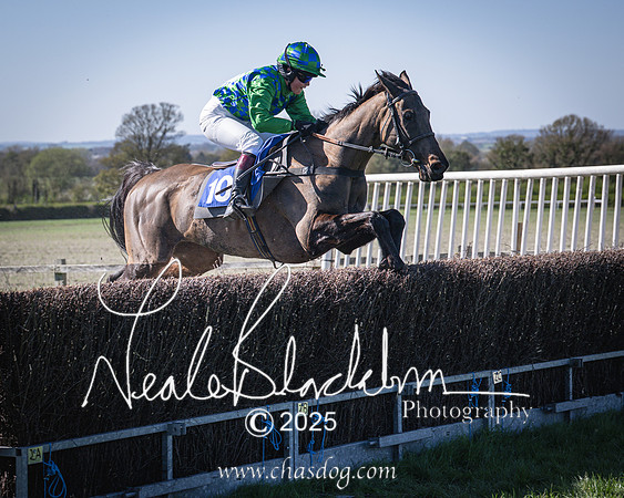 Race 5 - The restricted (94 of 113)