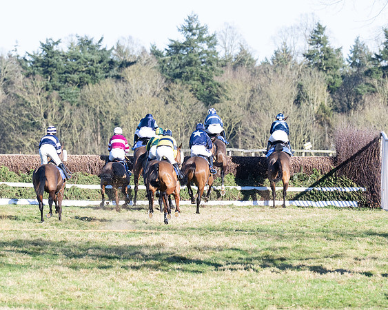 Race 5 - Maiden (37 of 123)