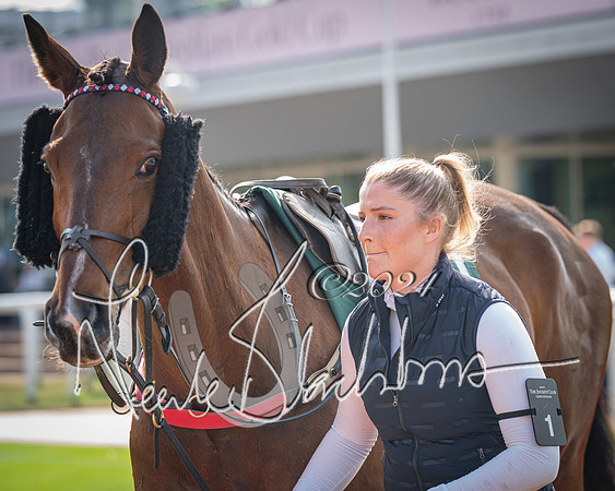 Race 1 - The Bottle Green Open Hunters steeplechase 2m62y (15 of 93)