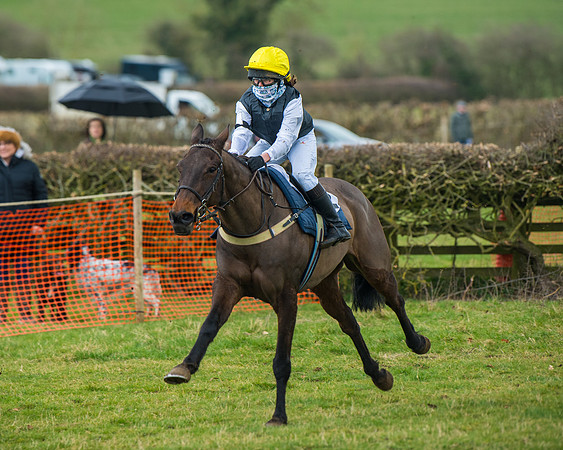 Pony Race 3 (47 of 67)