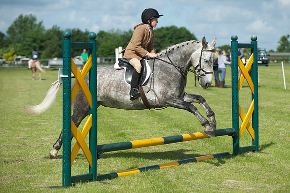 SOHS PC Summer Show at BCA 17th June 2012