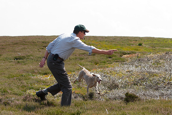 WCGB-27JUL-2013 Grouse Test Day  18