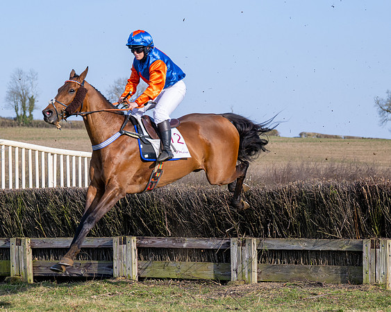 Race 5 - PPORA Five years and over (90 of 163)