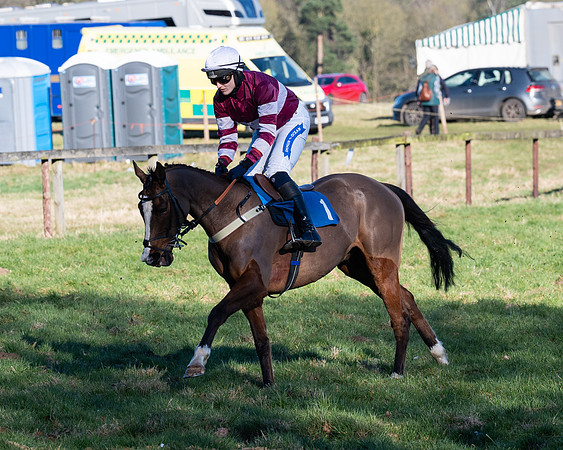 Race 5 - Maiden (13 of 123)