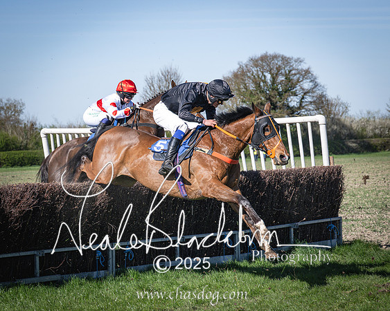 Race 6 - Veteran horse (81 of 109)