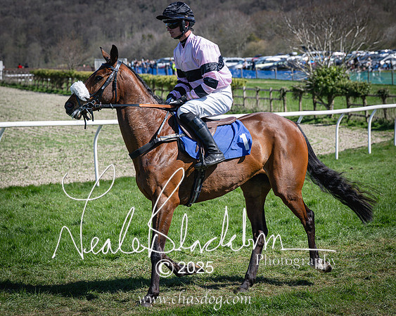 Race 2 - The Maiden (47 of 118)