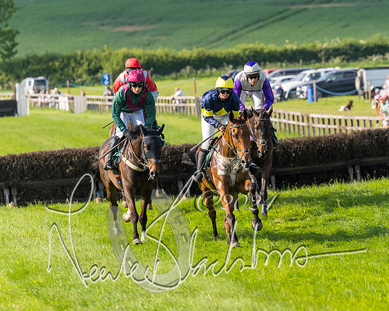 Race 6 - Owner trainer conditions (134 of 272)