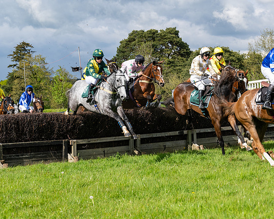 Race 5  - Maiden  (19 of 84)