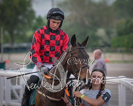 Race 5 - Mares Open Hunter Steeplechase 3m2f 70y (26 of 269)