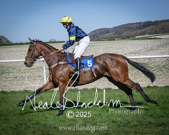 Race 5 - The restricted (33 of 113)