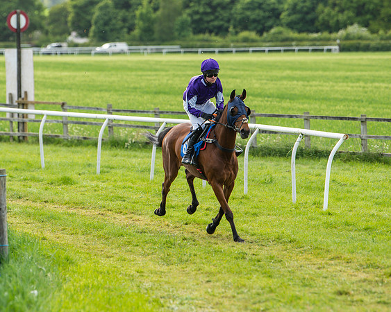 Race 6 - Maiden [2m4f] (17 of 135)