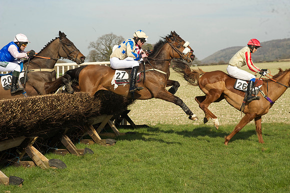 Race 2 Open Maiden Div 1 -  54