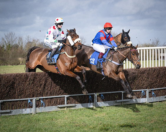 Race 3 - The Maiden Conditions (91 of 214)