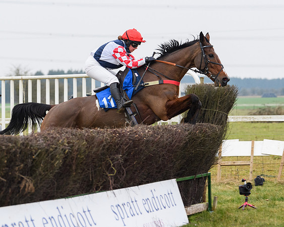 Race 4 - Ladies Open  (20 of 91)