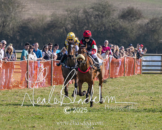 Pony Race 1 - Novice (3 of 38)