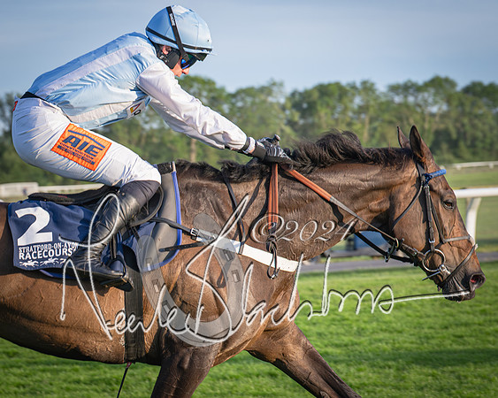 Race 5 - tipsterreviews.co.uk handicap (64 of 107)