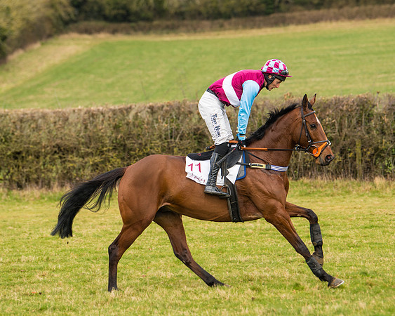 Race 3 - Restricted  (10 of 100)
