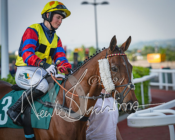 Race 3 - The Junior Jumpers open hunter's steeple chase 3m1f56y (27 of 156)