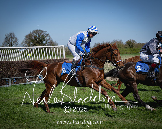 Race 2 - The Maiden (62 of 118)