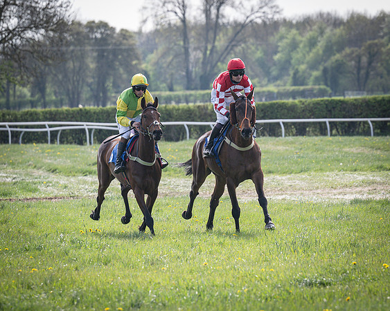 Race 5 - The 5G Restricted Race (13 of 56)