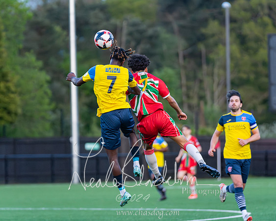Windsor v Langley (95 of 235)