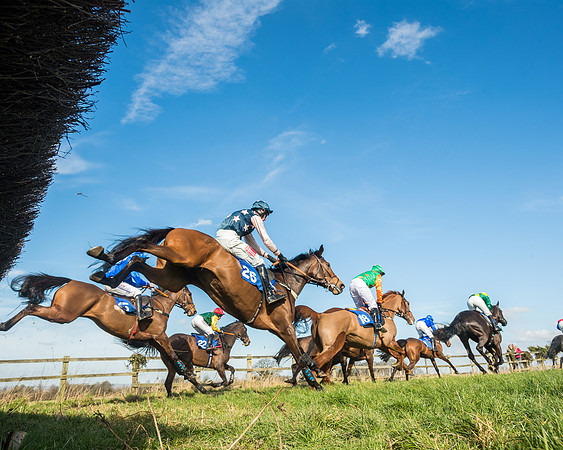 Race 1 - Open Maiden Division 1 (97 of 170)