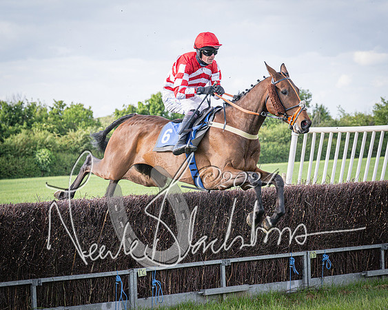Race 6 - Thorn Plant Hire Maiden Race (77 of 129)