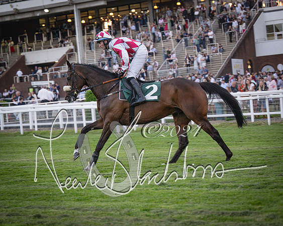 Race - 7 The Royal Gloucester Hussars Open Hunter's steeplechase 2m4f 127y (54 of 210)