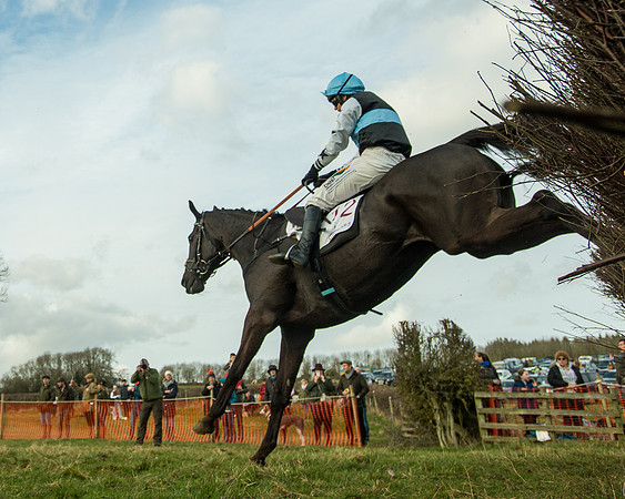 Race 5 - PPORA Conditions 2 - 8 and over  (93 of 156)