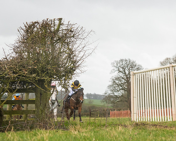 Pony Race 3 (53 of 67)
