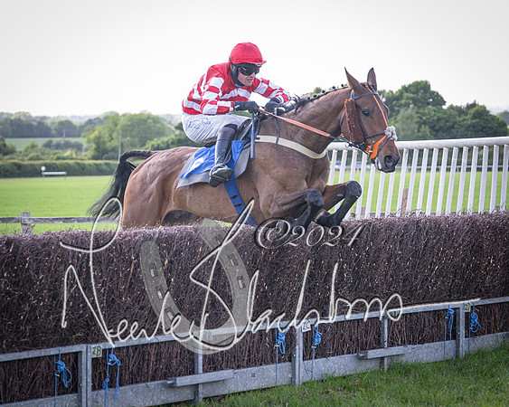 Race 6 - Thorn Plant Hire Maiden Race (91 of 129)