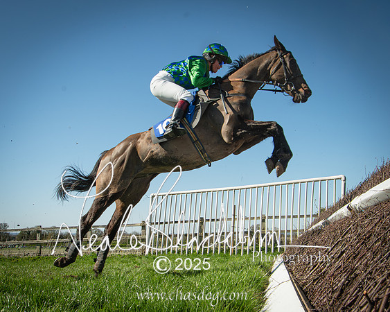 Race 5 - The restricted (90 of 113)