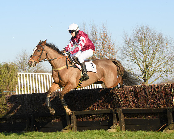Race 2 - PPORA Novice Riders  (144 of 205)