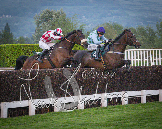 Race - 7 The Royal Gloucester Hussars Open Hunter's steeplechase 2m4f 127y (110 of 210)