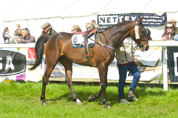 Race 2 - Open Maiden  6