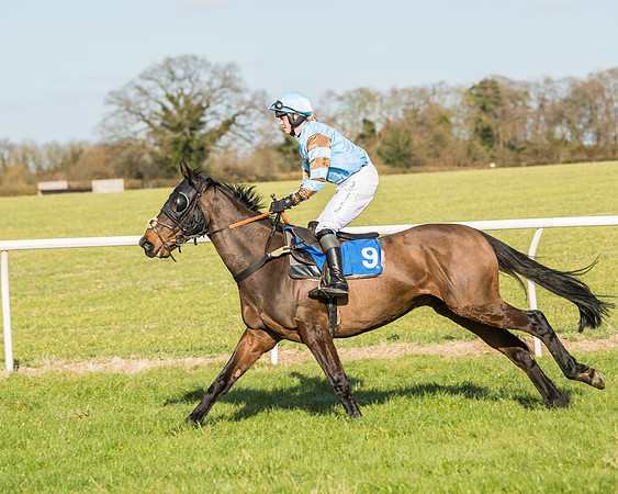 Race 3 - Ladies Open (15 of 156)