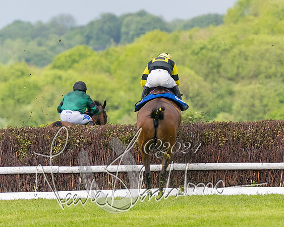 Race 4 - Mixed Open (236 of 591)