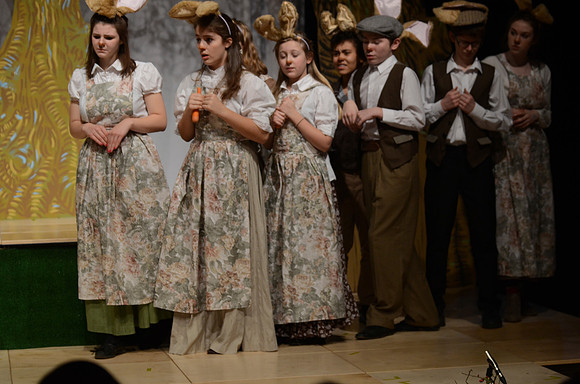 Wind in the Willows Dress 7