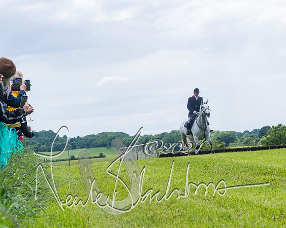 Race 7 - Hound Race etc (76 of 108)